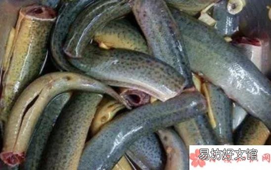 孕妇吃泥鳅的禁忌 孕妇吃泥鳅要去内脏吗