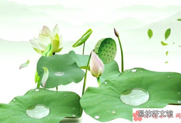 小暑时节养生方法推荐 小暑节气吃什么东西比较好