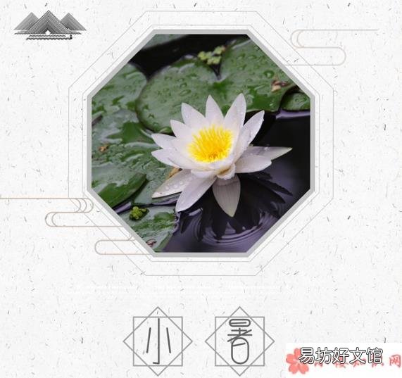 小暑时节养生方法推荐 小暑节气吃什么东西比较好