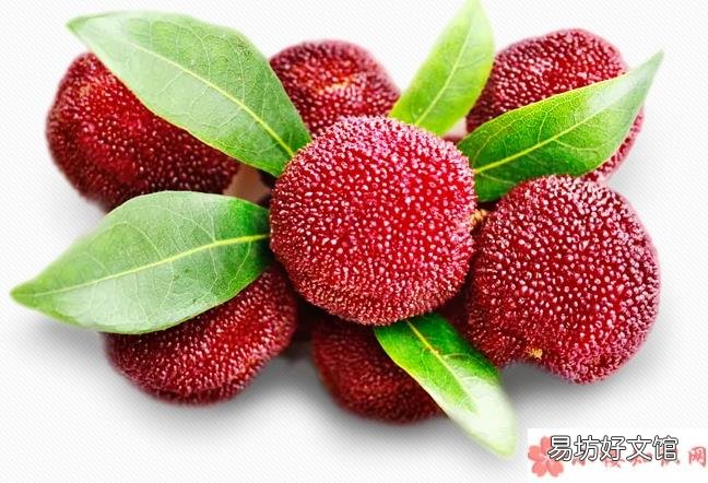 杨梅上有小虫子能吃吗 孕妇能吃杨梅吗