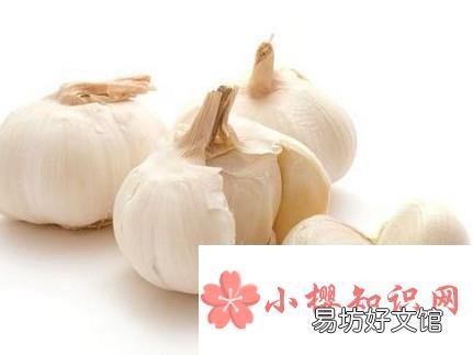 怎样把苍蝇赶走