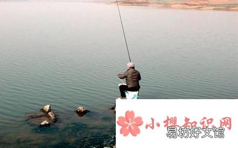 怎么治小鱼闹窝