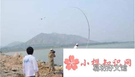 怎么治小鱼闹窝