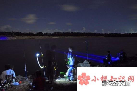 怎么治小鱼闹窝