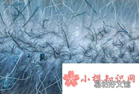 如何鉴别天然纤维和化学纤维
