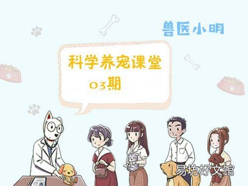 猫传腹最明显的症状(猫传腹最明显的症状图片)