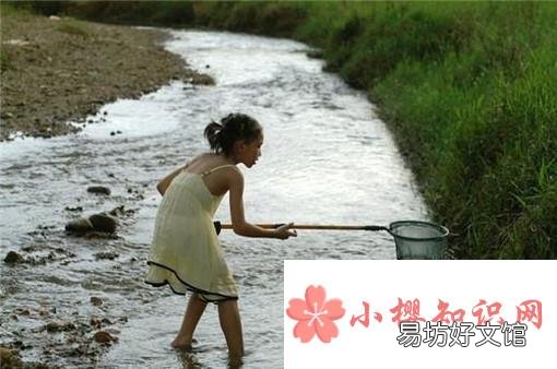 捉鱼经验谈：如何选择捉鱼的环境和工具