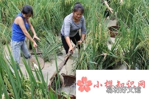 捉鱼经验谈：如何选择捉鱼的环境和工具