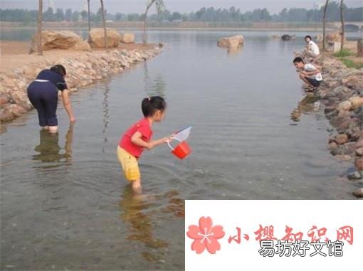 捉鱼经验谈：如何选择捉鱼的环境和工具