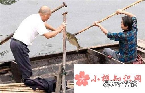 捉鱼经验谈：如何选择捉鱼的环境和工具