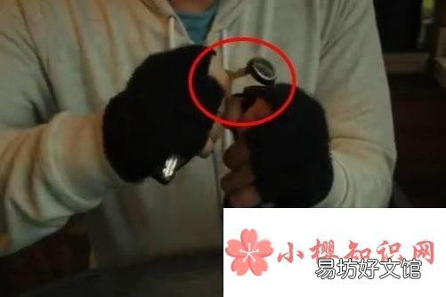 如何巧妙开啤酒盖