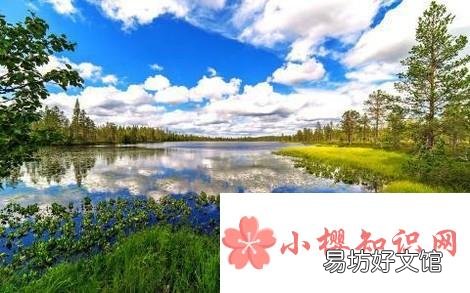 修炼成精被捕获的十大巨型怪物