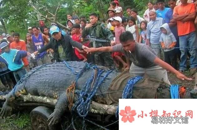 修炼成精被捕获的十大巨型怪物