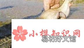 修炼成精被捕获的十大巨型怪物