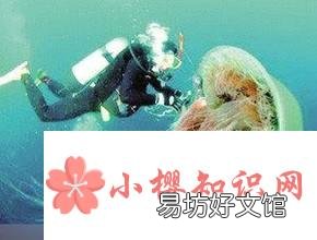 修炼成精被捕获的十大巨型怪物