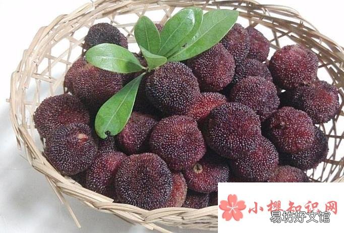 吃杨梅的好处与注意事项