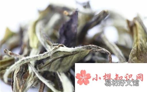 夏天喝什么茶比较好