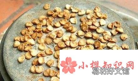辣椒种植技术:种辣椒怎么提高产量?