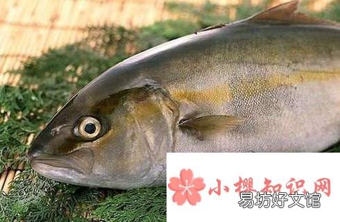 献血前后需要注意什么?
