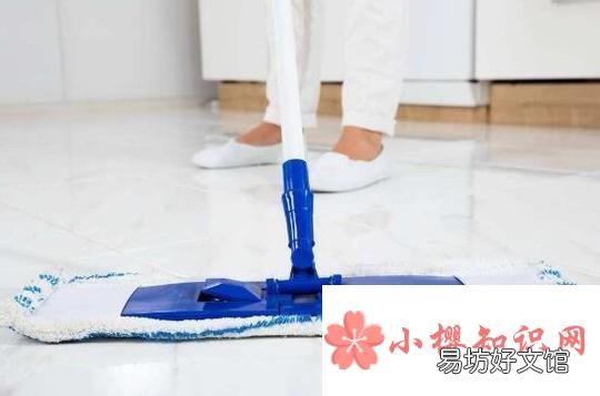 驱除苍蝇的有效方法有哪些?怎么消灭家里的苍蝇