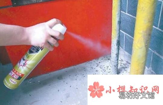 驱除苍蝇的有效方法有哪些?怎么消灭家里的苍蝇