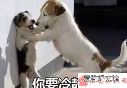 无1无靠遍地飘0梗出处是什么 无1无靠遍地飘0是什么意思