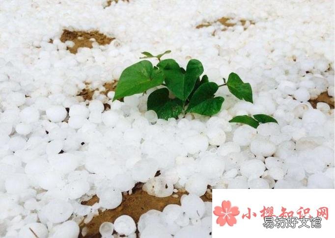 汽车被冰雹砸坏,车主该怎样理赔?