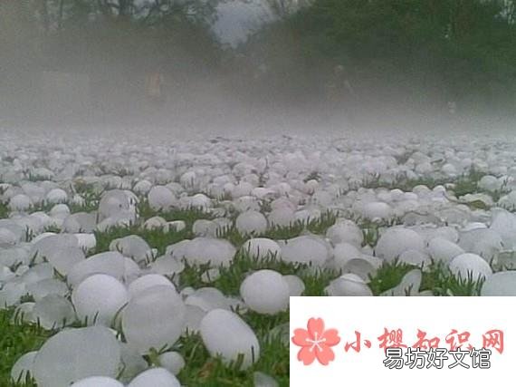 汽车被冰雹砸坏,车主该怎样理赔?