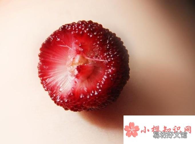 杨梅如何进行选择?