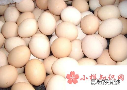 如何辨别鸡蛋是否新鲜