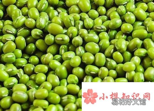 吃绿豆对身体有什么好处