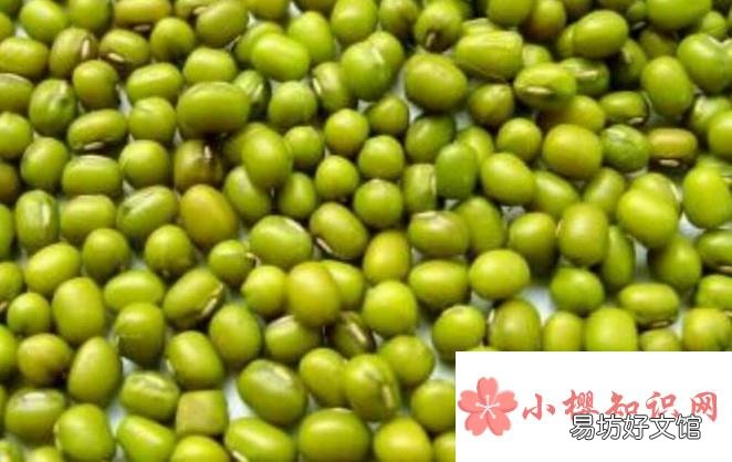 吃绿豆对身体有什么好处