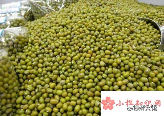 吃绿豆对身体有什么好处