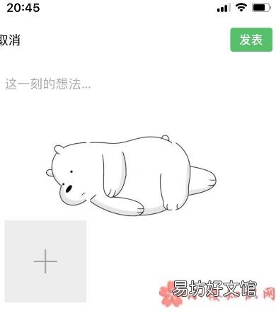 朋友圈小熊怎么发 朋友圈小熊无水印图片