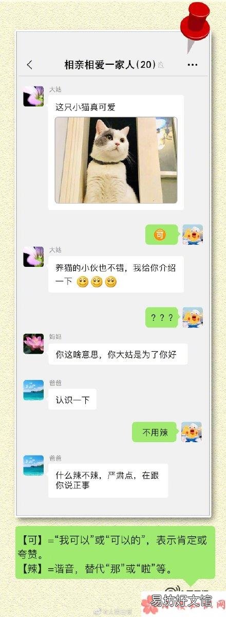 常用的网络流行语大全 如何让爸妈看懂网络流行语