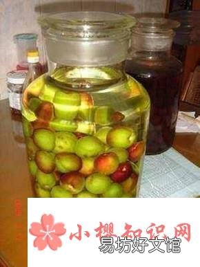 李子有几种吃法