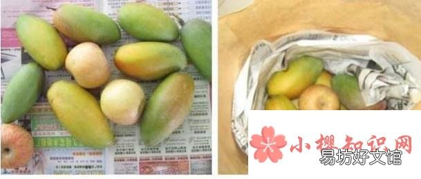 怎样让青芒果变黄
