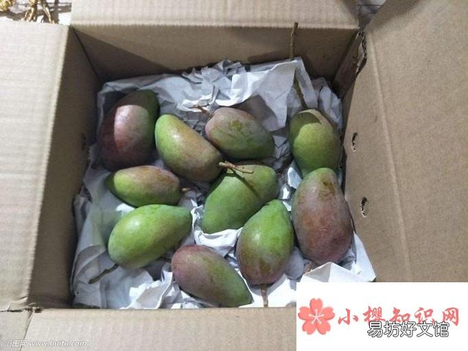 怎样让青芒果变黄