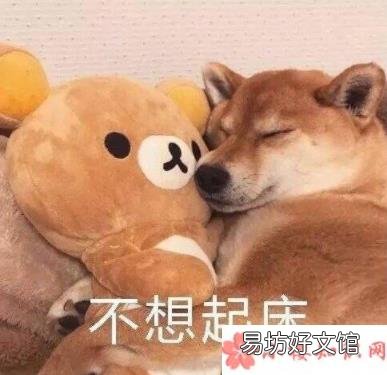起床困难幽默表情包 起床困难搞笑的表情包合集