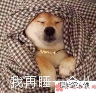 起床困难幽默表情包 起床困难搞笑的表情包合集