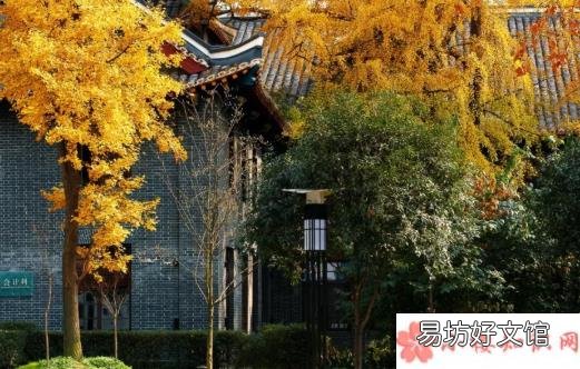 2019再见十月心情说说 10月最后一天唯美句子