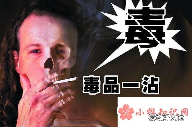 吸毒的危害有多大？