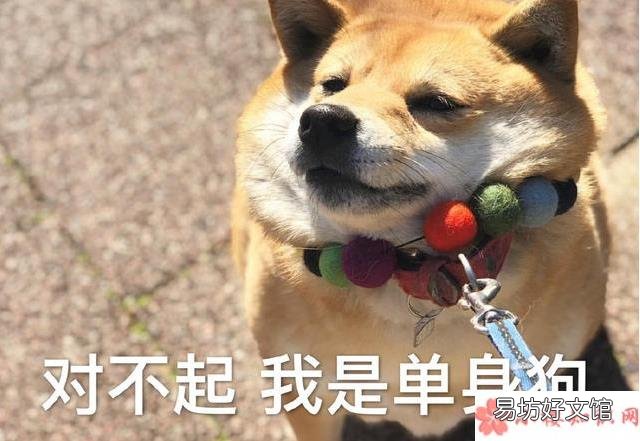 当代年轻人不敢谈恋爱的原因 当代人不敢谈恋爱的理由有哪些