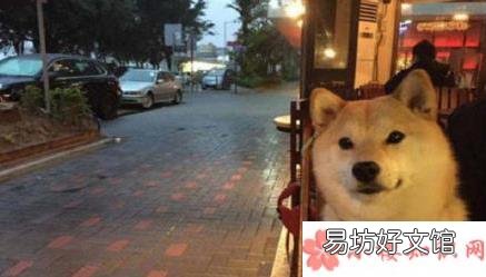 你觉得是先买房还是先结婚好 现代青年先买房还是先结婚
