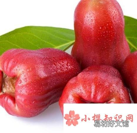 越南最常见的几种水果?