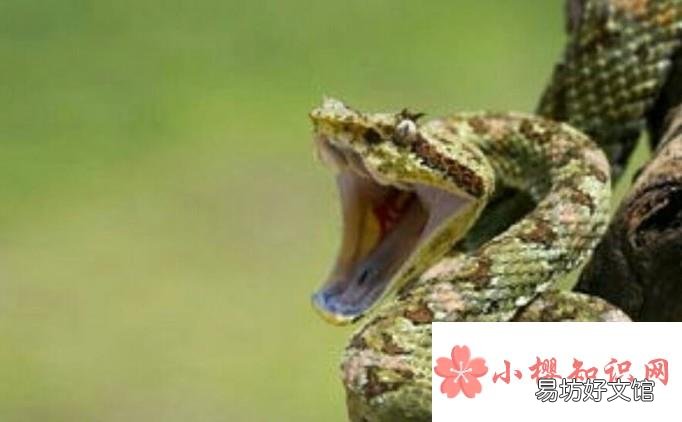 安全教育有哪些
