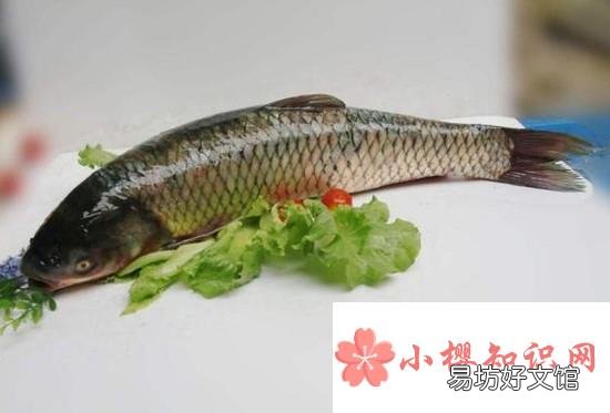 水煮鱼怎么做才好吃