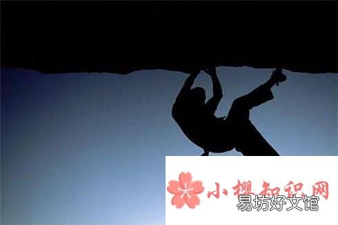 人为什么要努力