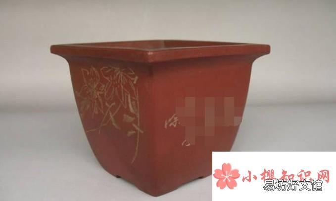 家庭怎样种桃树