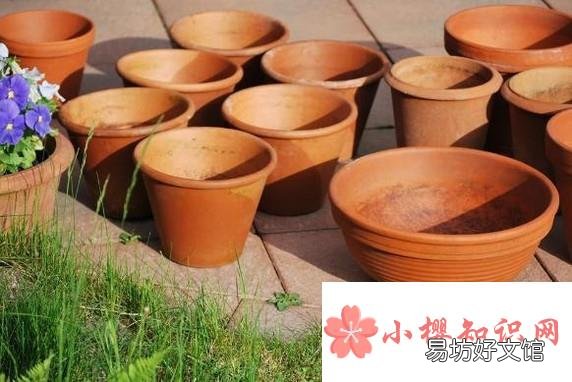 家庭怎样种桃树